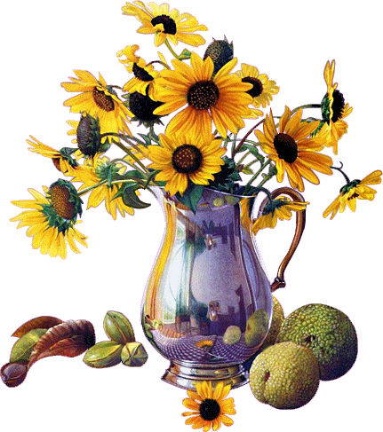 fleurs et nature (32).gif